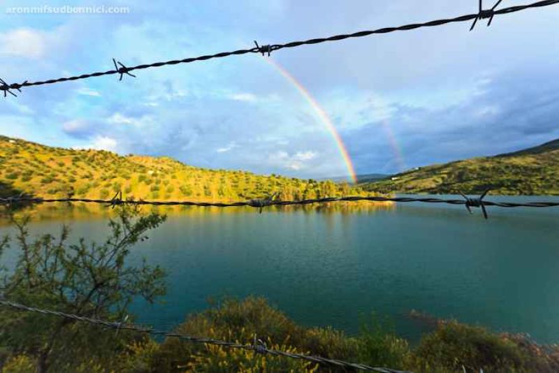 a beautiful cage ii.jpg